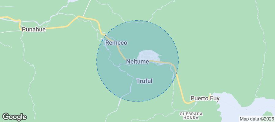 Neltume Airbnb map